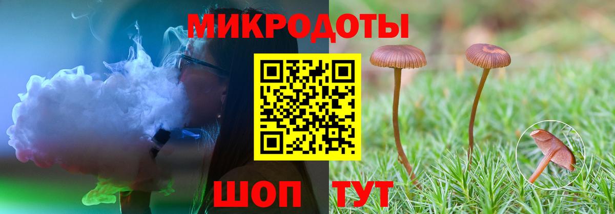 Новосибирск  Галлюциногенные грибы Magic Shrooms  Вход с VPN 